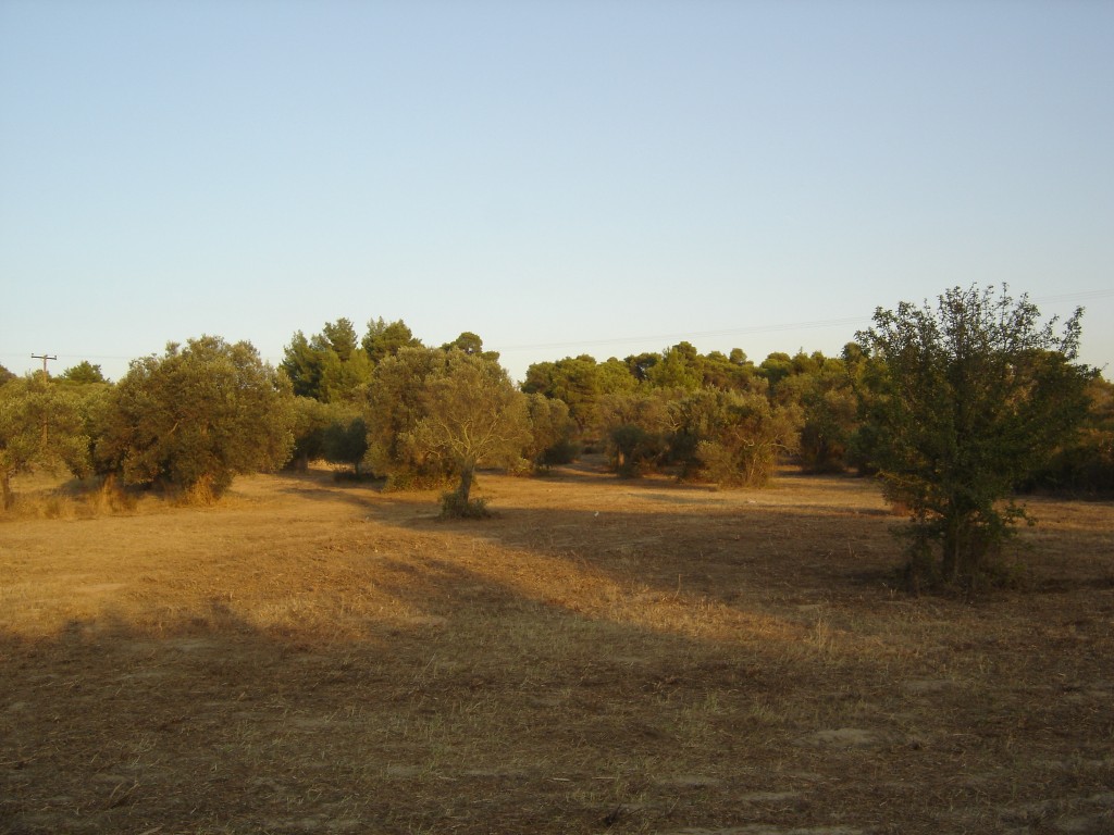 dimitrakia_vourvourou10 Medium.jpg